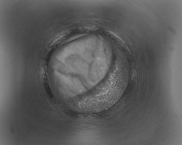 X0000116511397200912292135