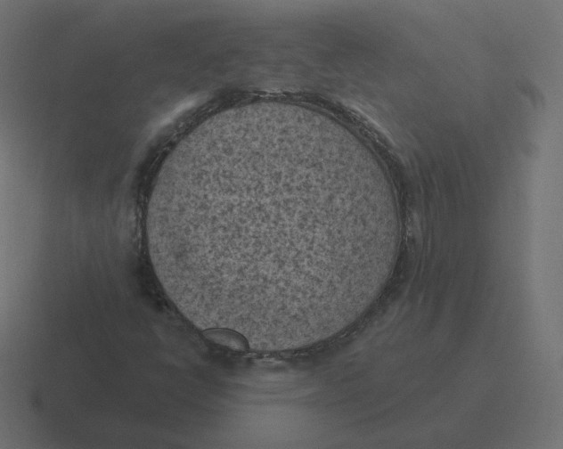 X0000116511398200912292135