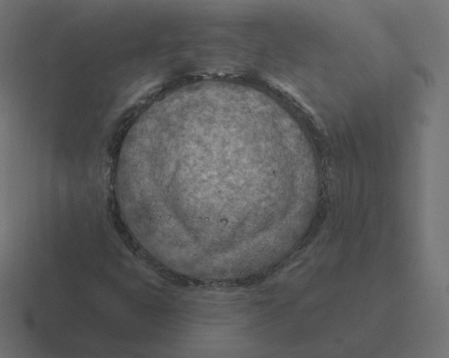 X0000116511399200912292135