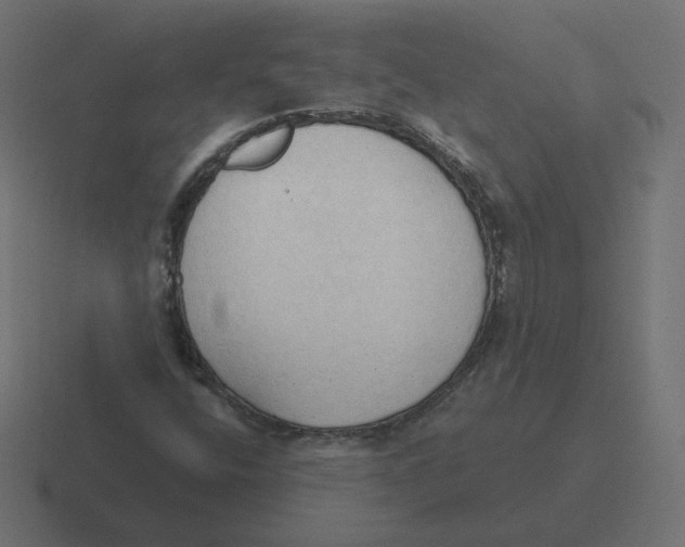 X0000116511400200912292135