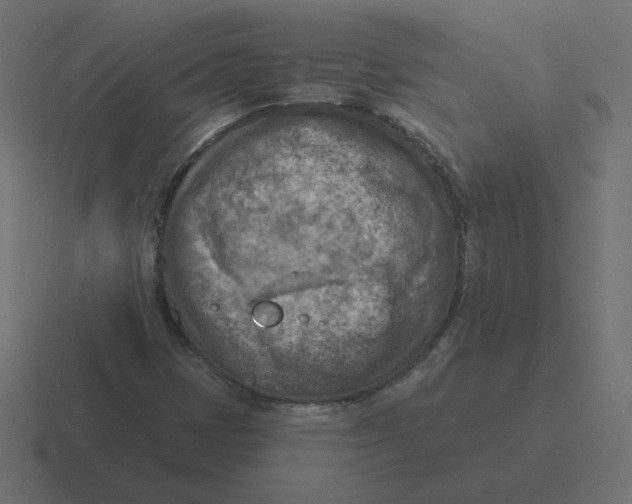 X0000116511401200912292135