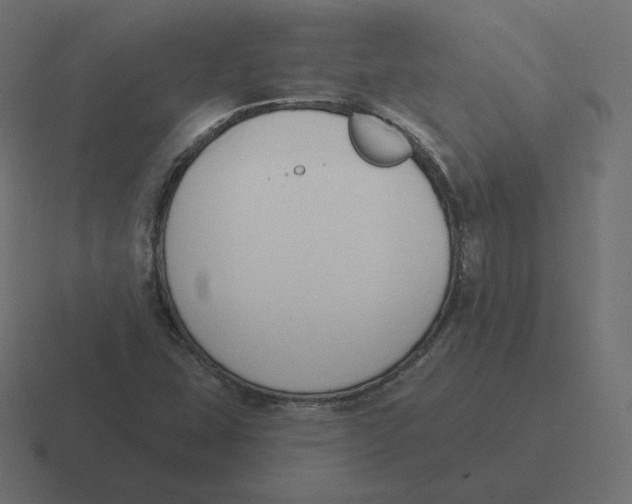 X0000116511407200912292135