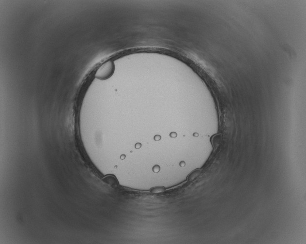 X0000116511408200912292135