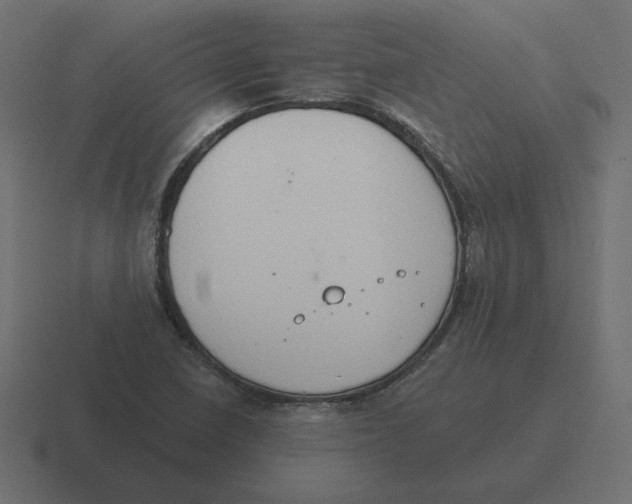 X0000116511410200912292135