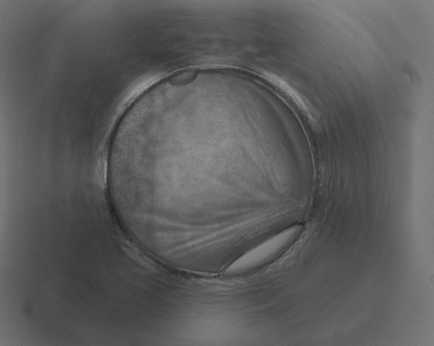 X0000116511413200912292135