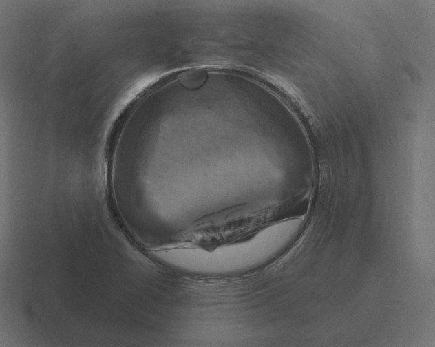 X0000116511414200912292135