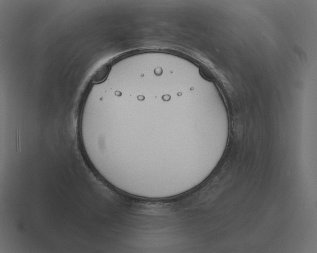 X0000116511416200912292135