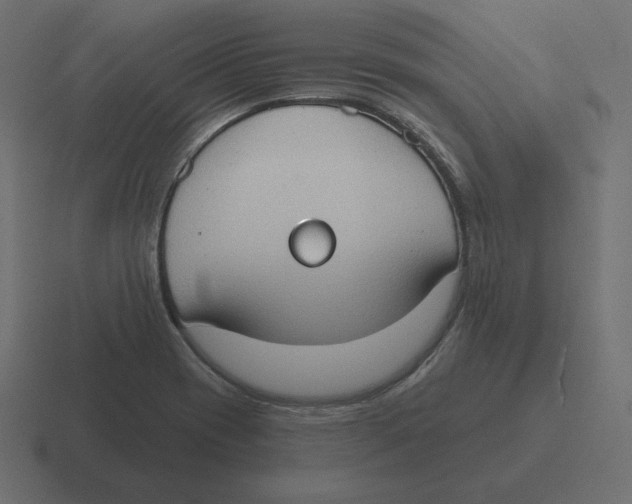 X0000116511417200912292135