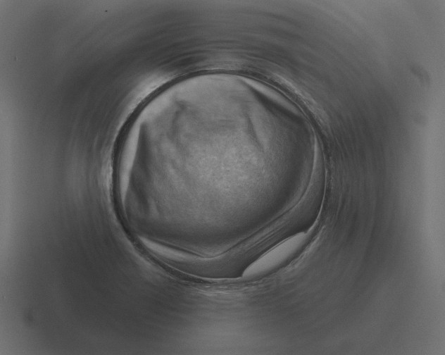 X0000116511418200912292135