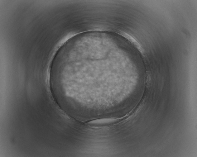 X0000116511419200912292135