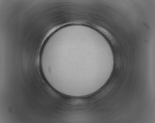 X0000116511420200912292135