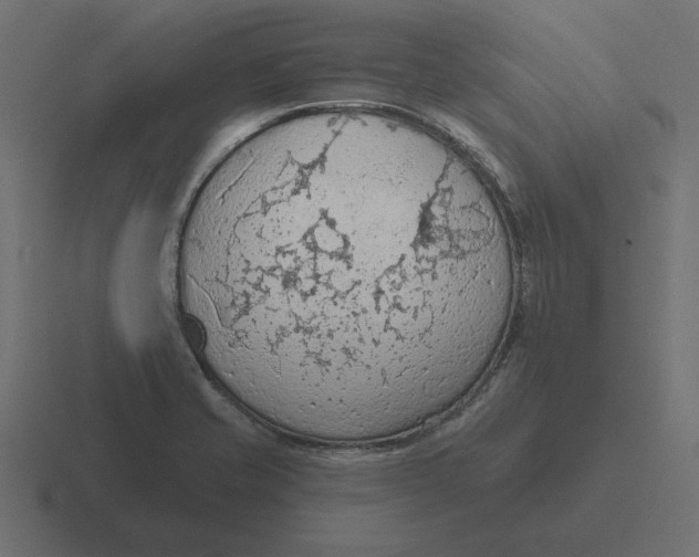 X0000116511421200912292135