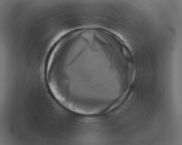 X0000116511422200912292135