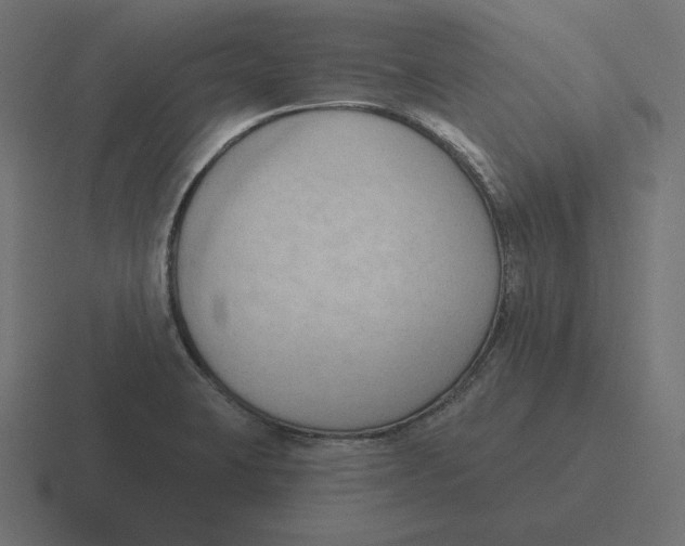 X0000116511423200912292135