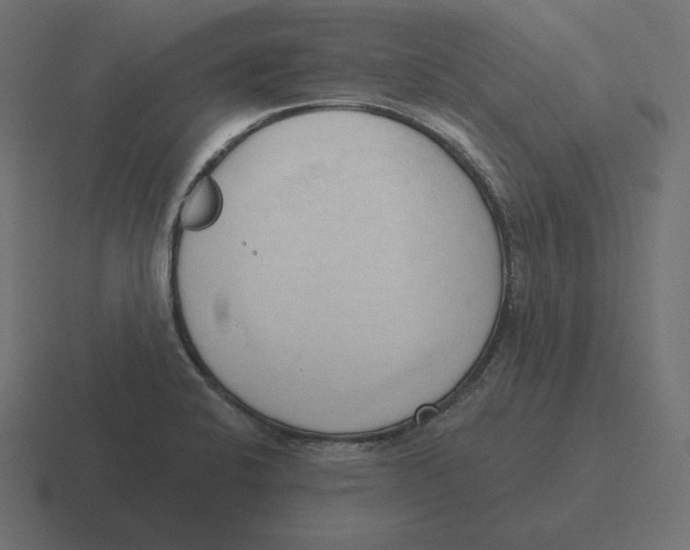 X0000116511424200912292135