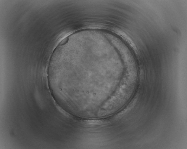 X0000116511425200912292135