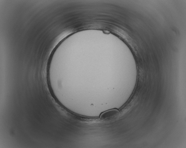 X0000116511426200912292135