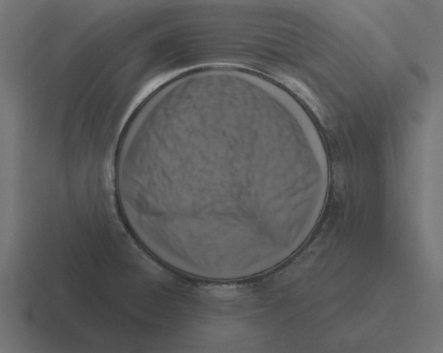 X0000116511428200912292135