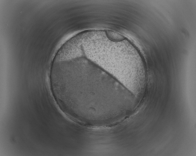 X0000116511429200912292135