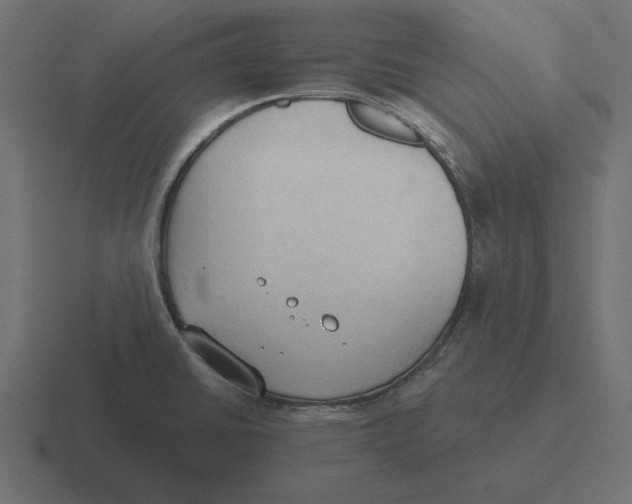 X0000116511430200912292135