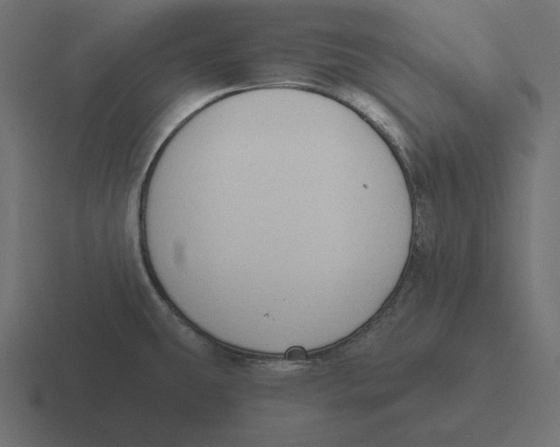 X0000116511431200912292135