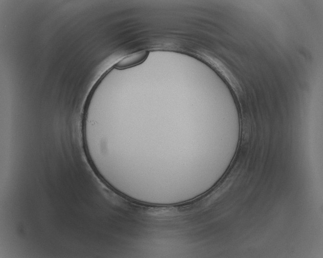 X0000116511434200912292136