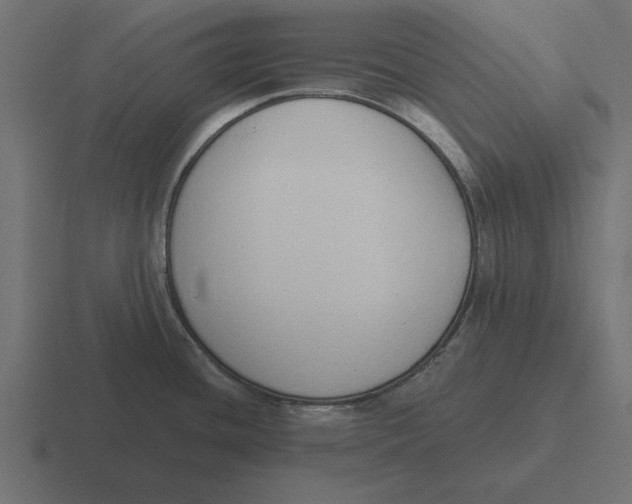 X0000116511436200912292136