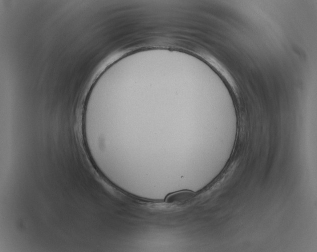 X0000116511437200912292136