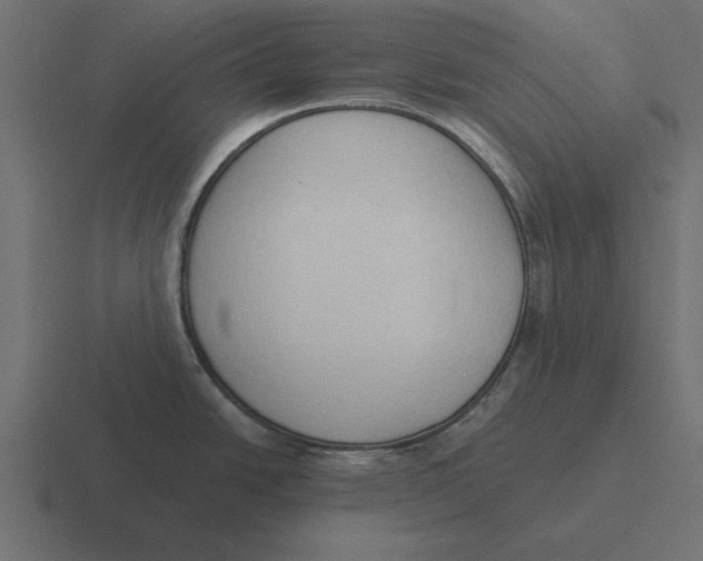 X0000116511438200912292136