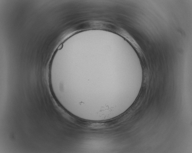 X0000116511439200912292136