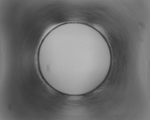 X0000116511440200912292136