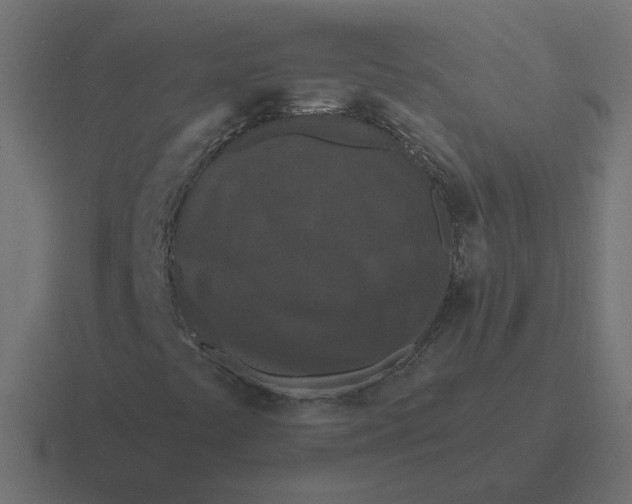 X0000116511441200912292135