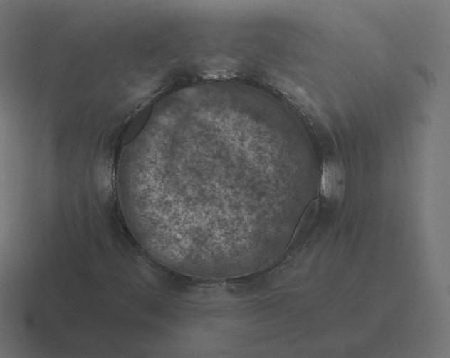 X0000116511444200912292135