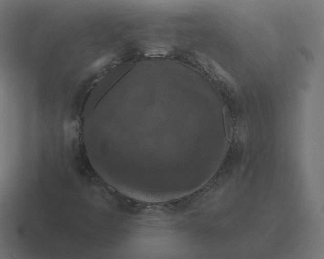 X0000116511445200912292135