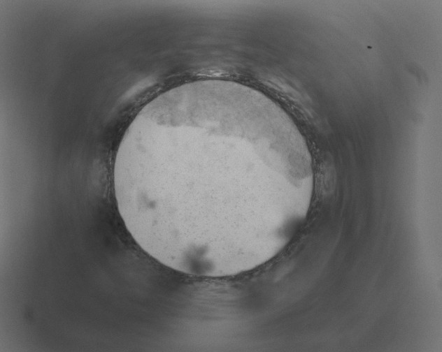 X0000116511446200912292135