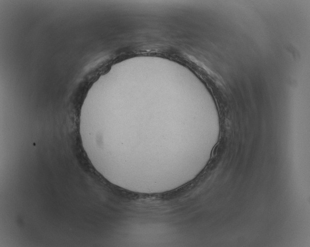 X0000116511447200912292135