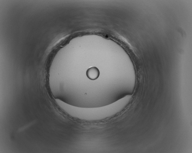 X0000116511448200912292135