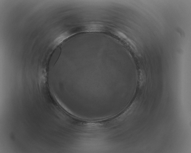 X0000116511449200912292135