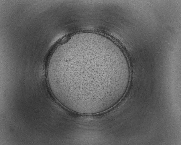 X0000116511450200912292135