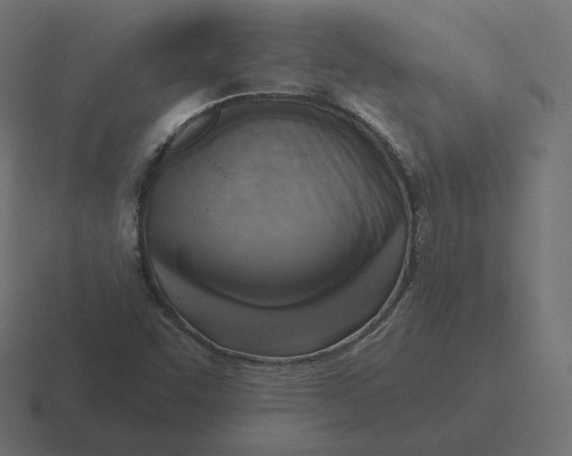 X0000116511455200912292135