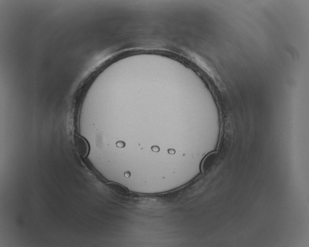 X0000116511456200912292135