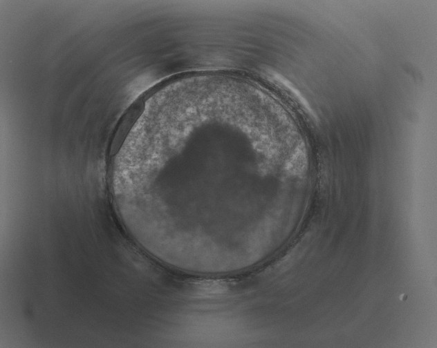 X0000116511457200912292135