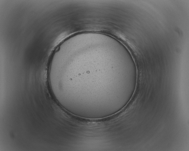 X0000116511459200912292135