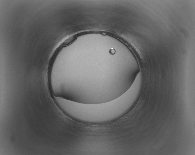 X0000116511460200912292135