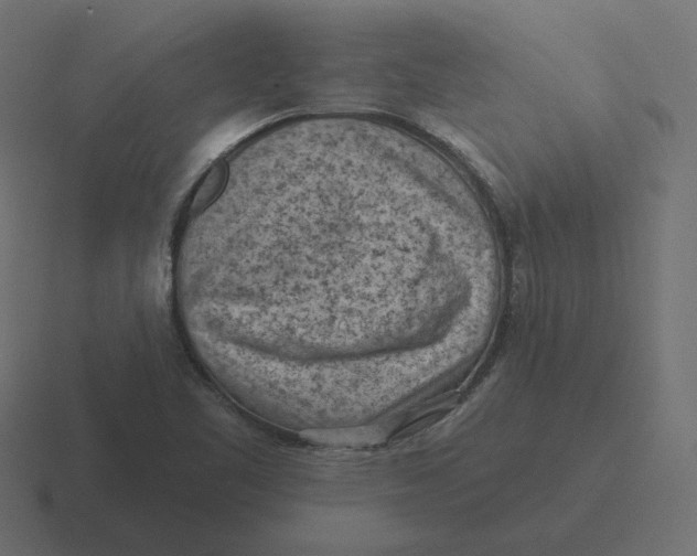 X0000116511461200912292135