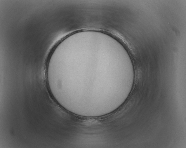 X0000116511462200912292135