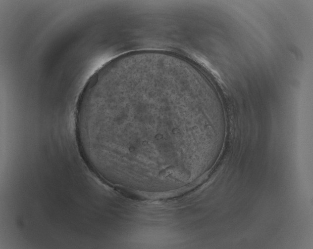 X0000116511463200912292135