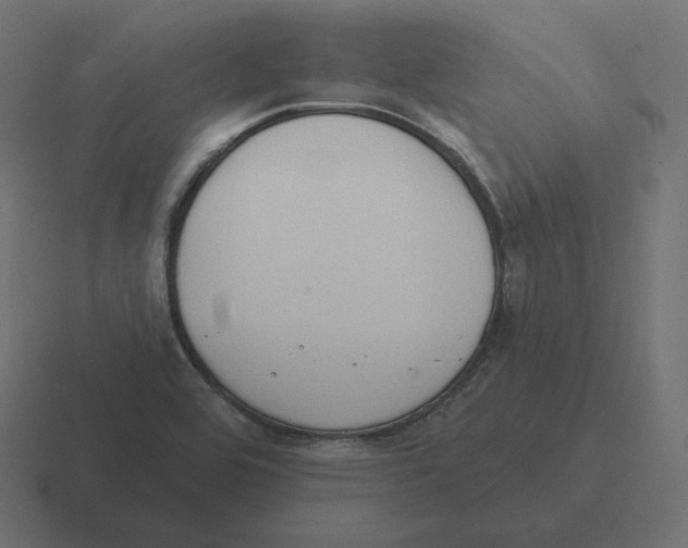 X0000116511464200912292135