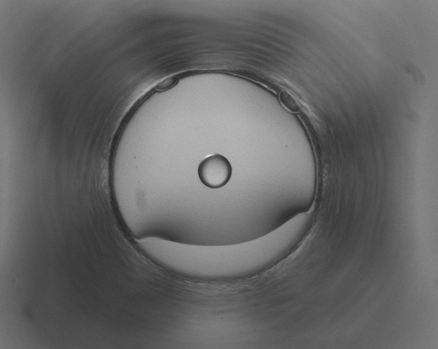 X0000116511465200912292135