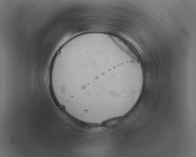 X0000116511467200912292135